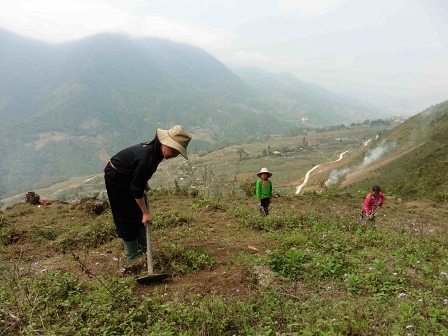 Hard work in Sapa